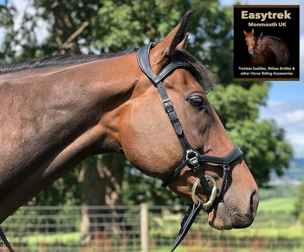 Bridon anatomique en cuir de qualité avec rênes de préhension Noir ou marron (X Full Draft, Noir)