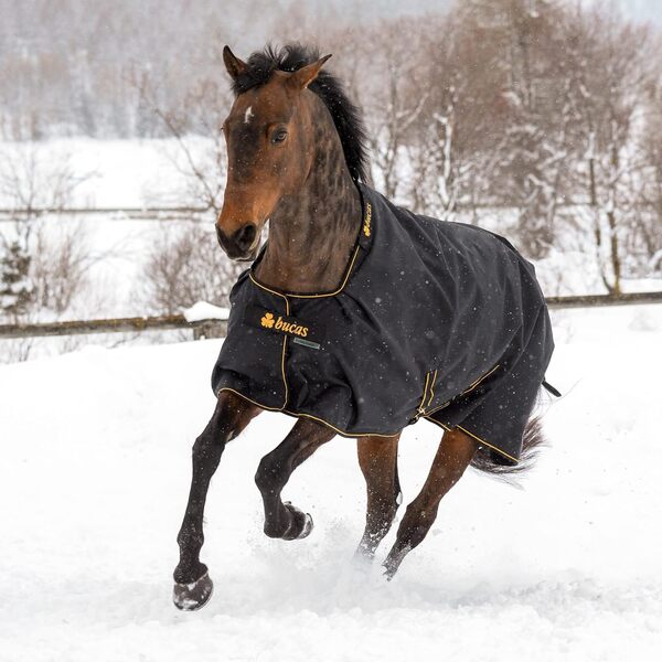 Bucas IrishTurnout Couverture pour Cheval Extra 300 g 165 SW/Gold