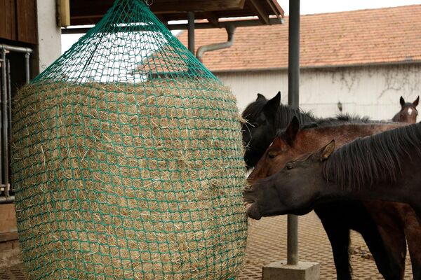 Kerbl 321606 Filet à Foin pour balles Rondes à Suspendre (Maille 4,5 x 4,5 cm, Ø 150 cm/Hauteur 180 cm, Couleur Verte, Filet d'alimentation à Mailles étroites, pour Chevaux, prolongement des Temps de