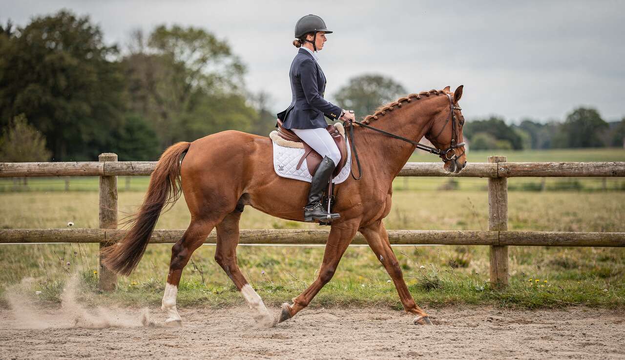 Les &eacute;tapes pour r&eacute;ussir l'exercice
