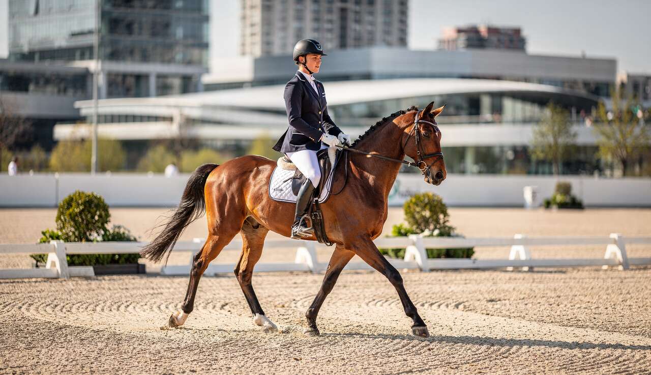 L'impact de la r&eacute;forme fiscale sur les centres &eacute;questres