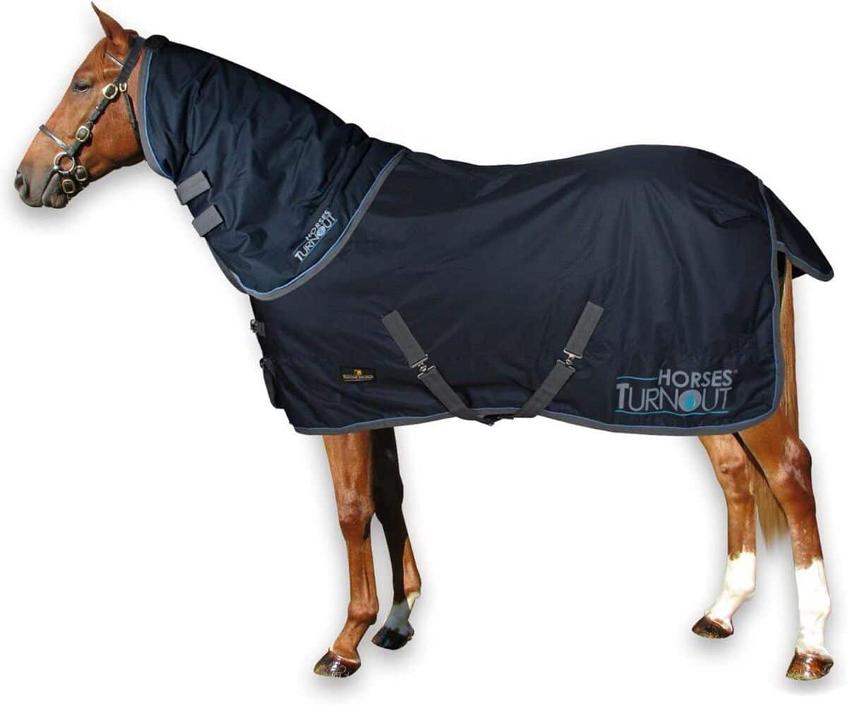 Essai de la couverture d'écurie imperméable Horses Turnout