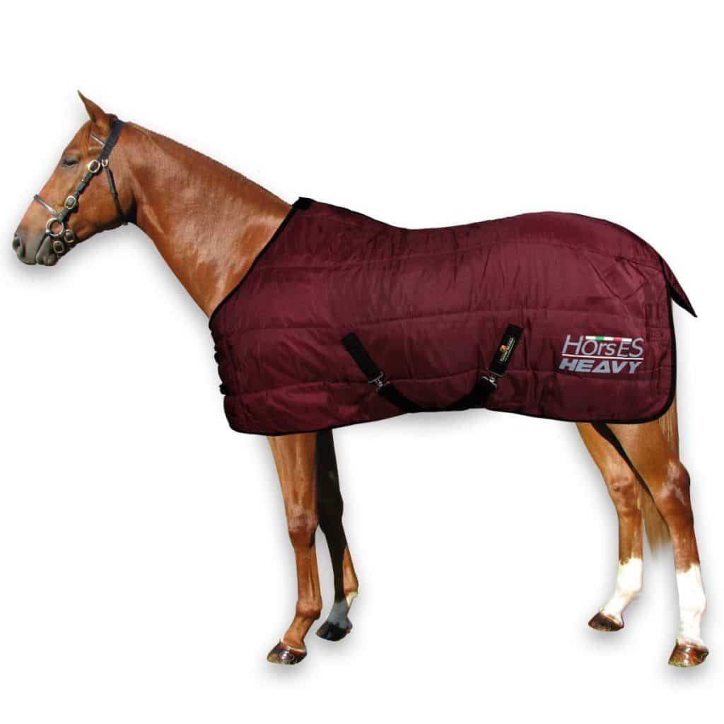 Essai de la couverture d'hiver robuste heavy Horses pour chevaux