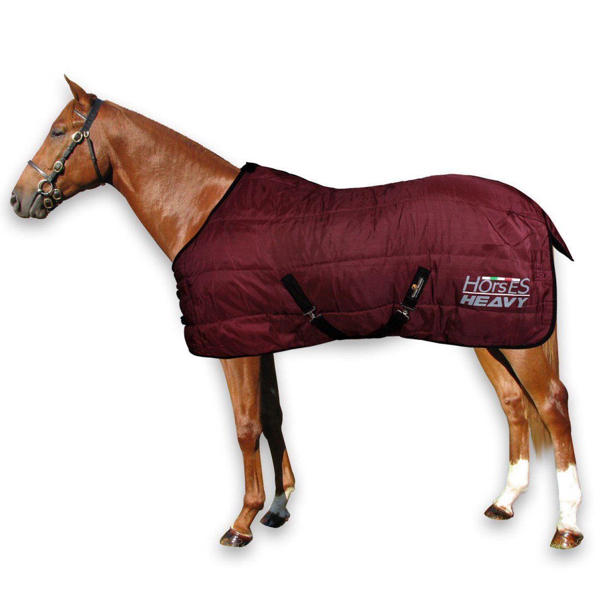 Essai de la couverture d'hiver robuste heavy Horses pour chevaux