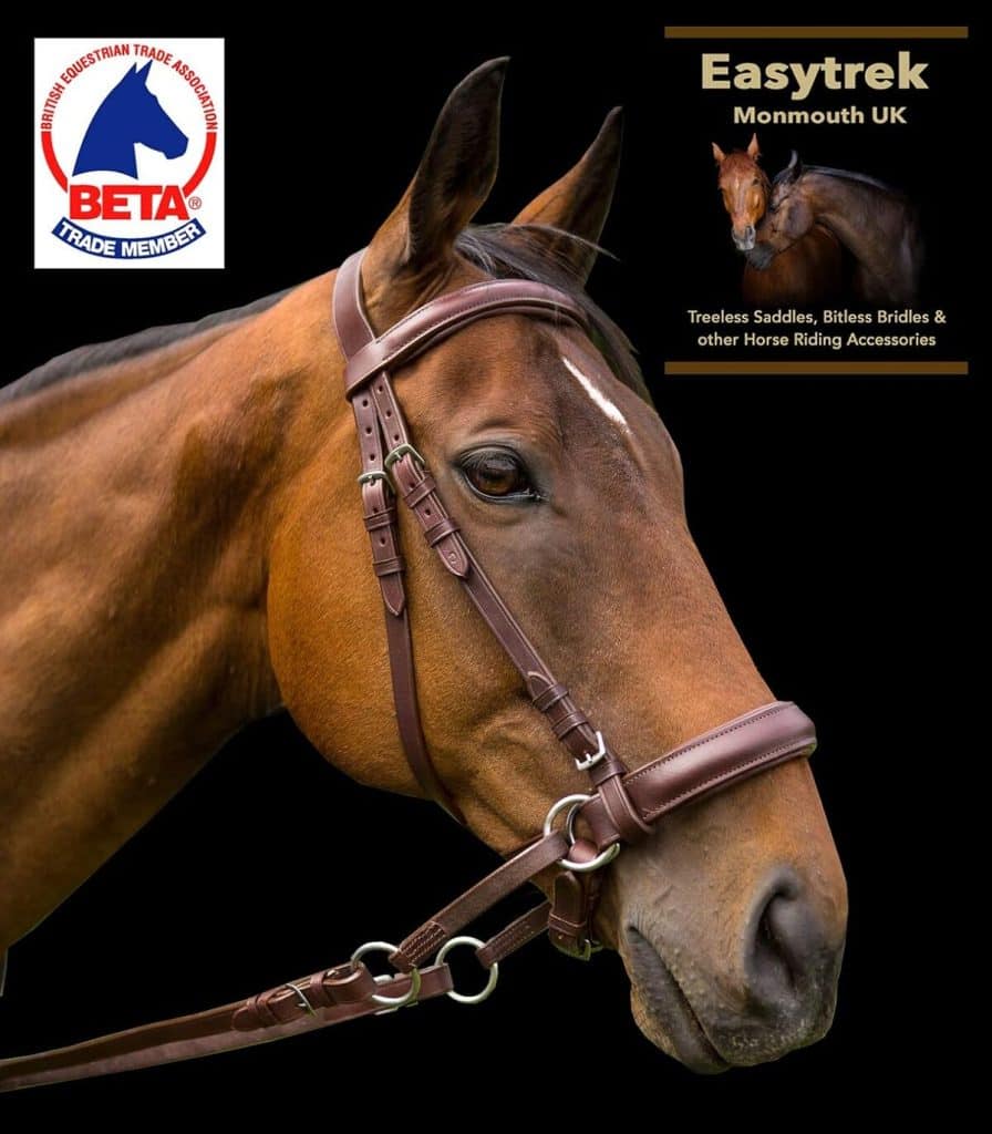 Test : bride anatomique EasyTrek en cuir marron