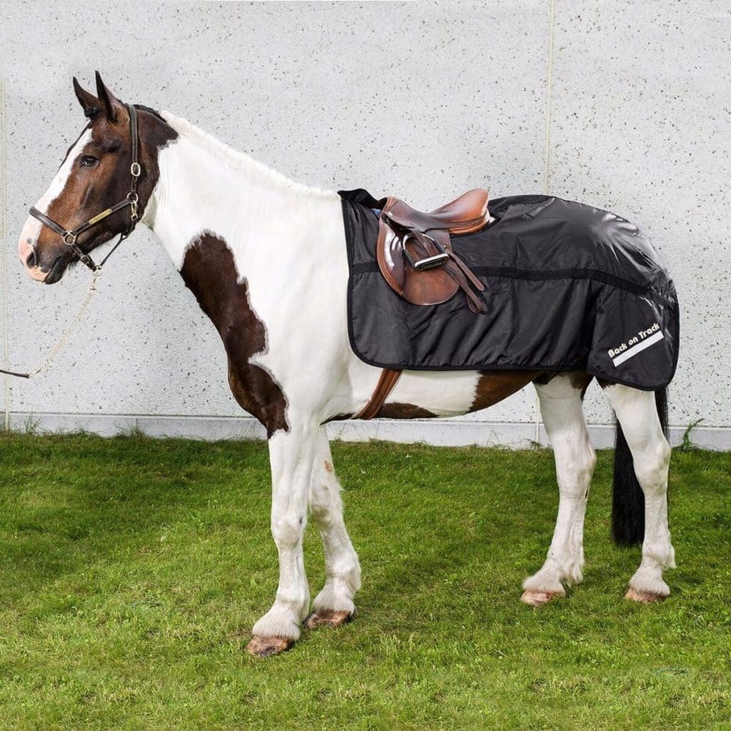 Test : couverture anti-pluie longue noire pour chevaux, taille 135 cm