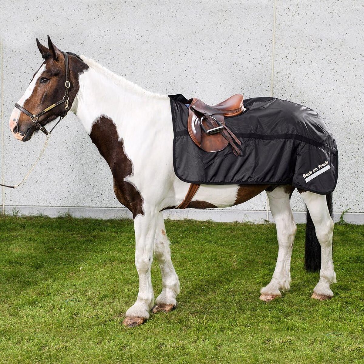 Test : couverture anti-pluie longue noire pour chevaux, taille 135 cm