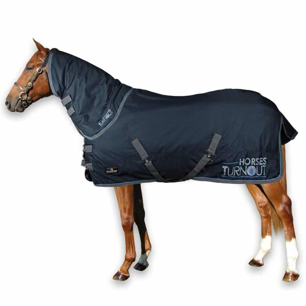 Test : couverture d'écurie imperméable Horses Turnout 400 g