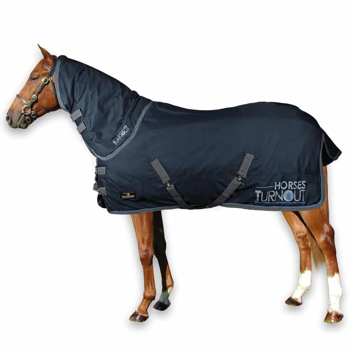 Test : couverture d'écurie imperméable Horses Turnout 400 g