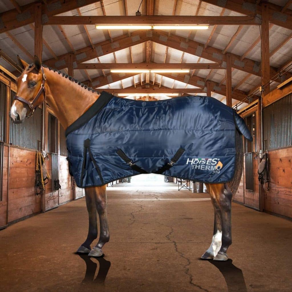 Test : couverture d'hiver chevaux Thermo 350g de Horses