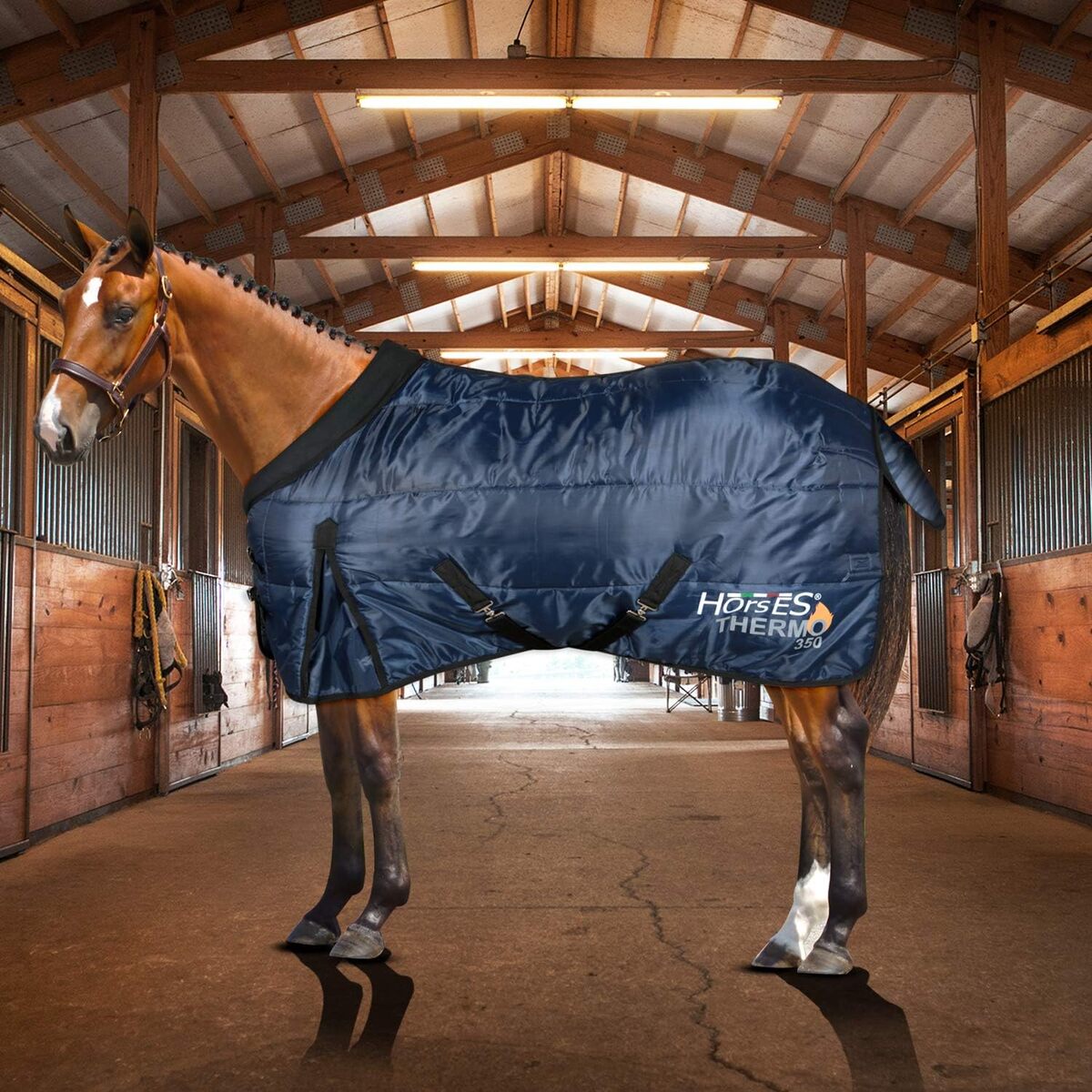 Test : couverture d'hiver chevaux Thermo 350g de Horses