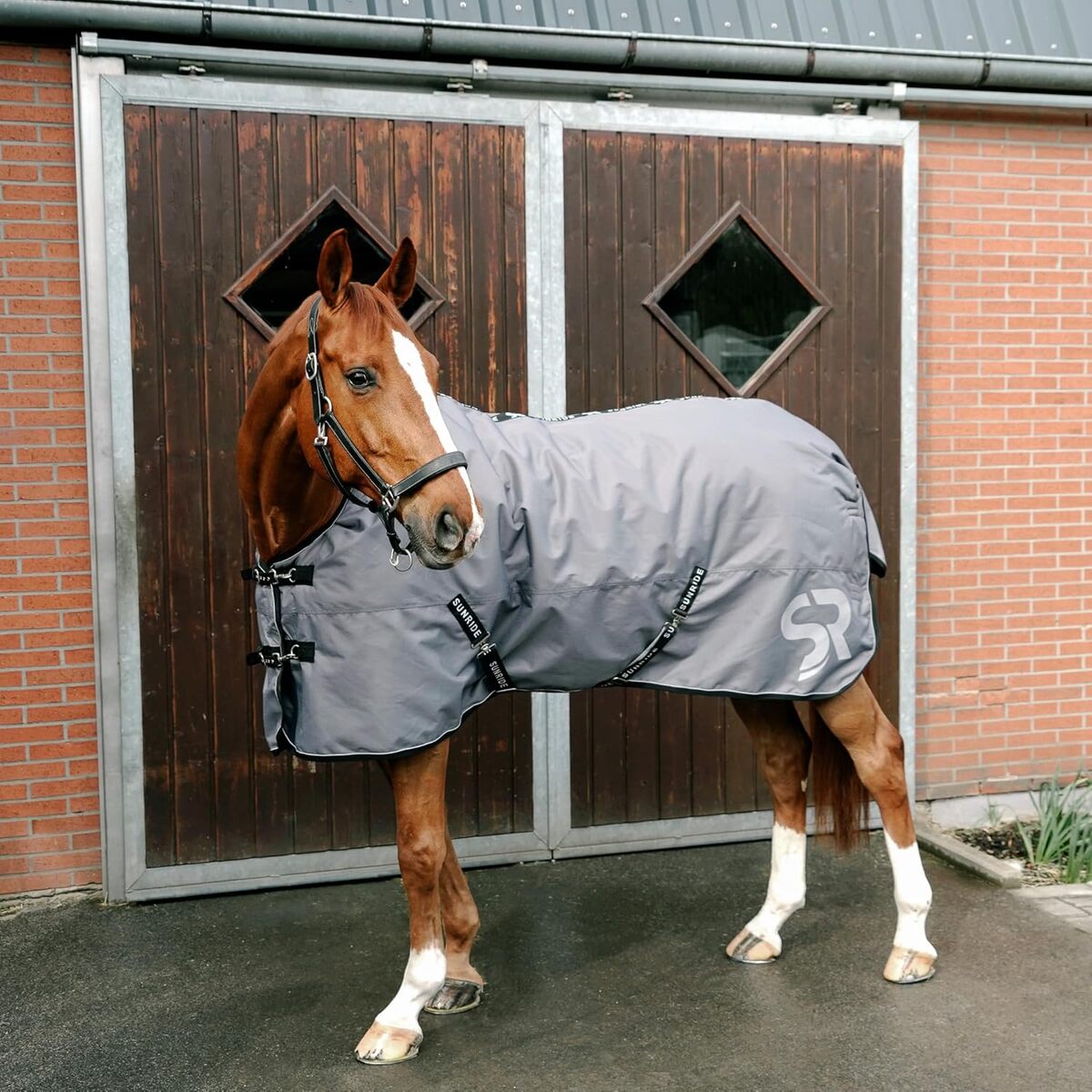 Test de la couverture Alaska 450g Sunride pour cheval : performance et flexibilité