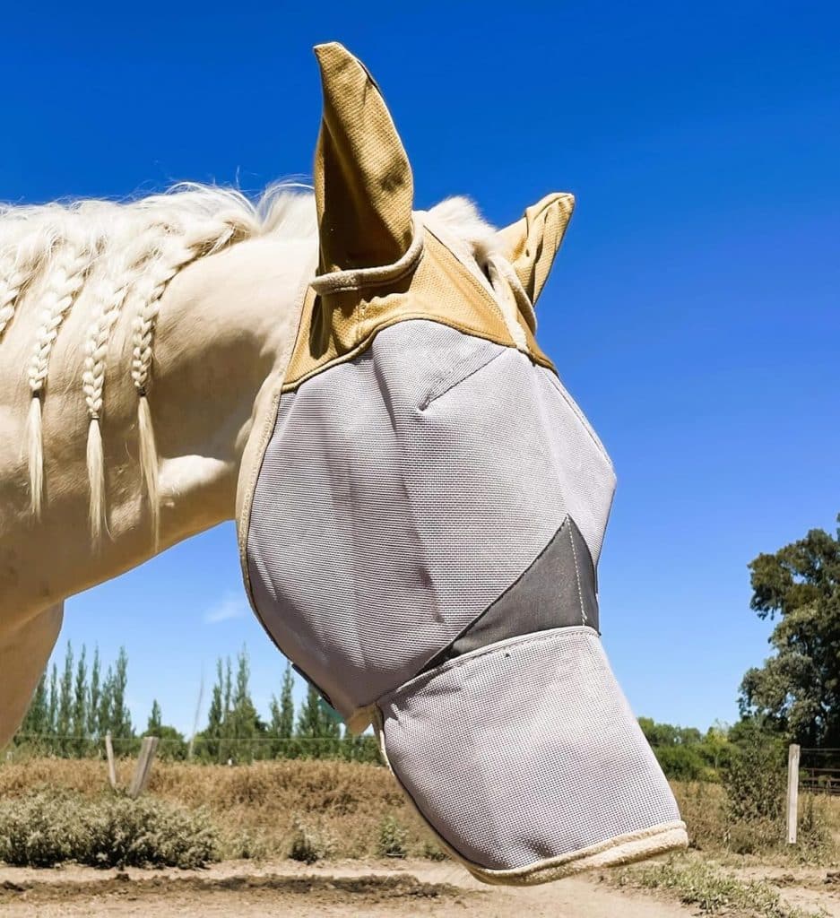 Test du masque anti-mouches durable pour cheval : protection UV 70 % toute la journée