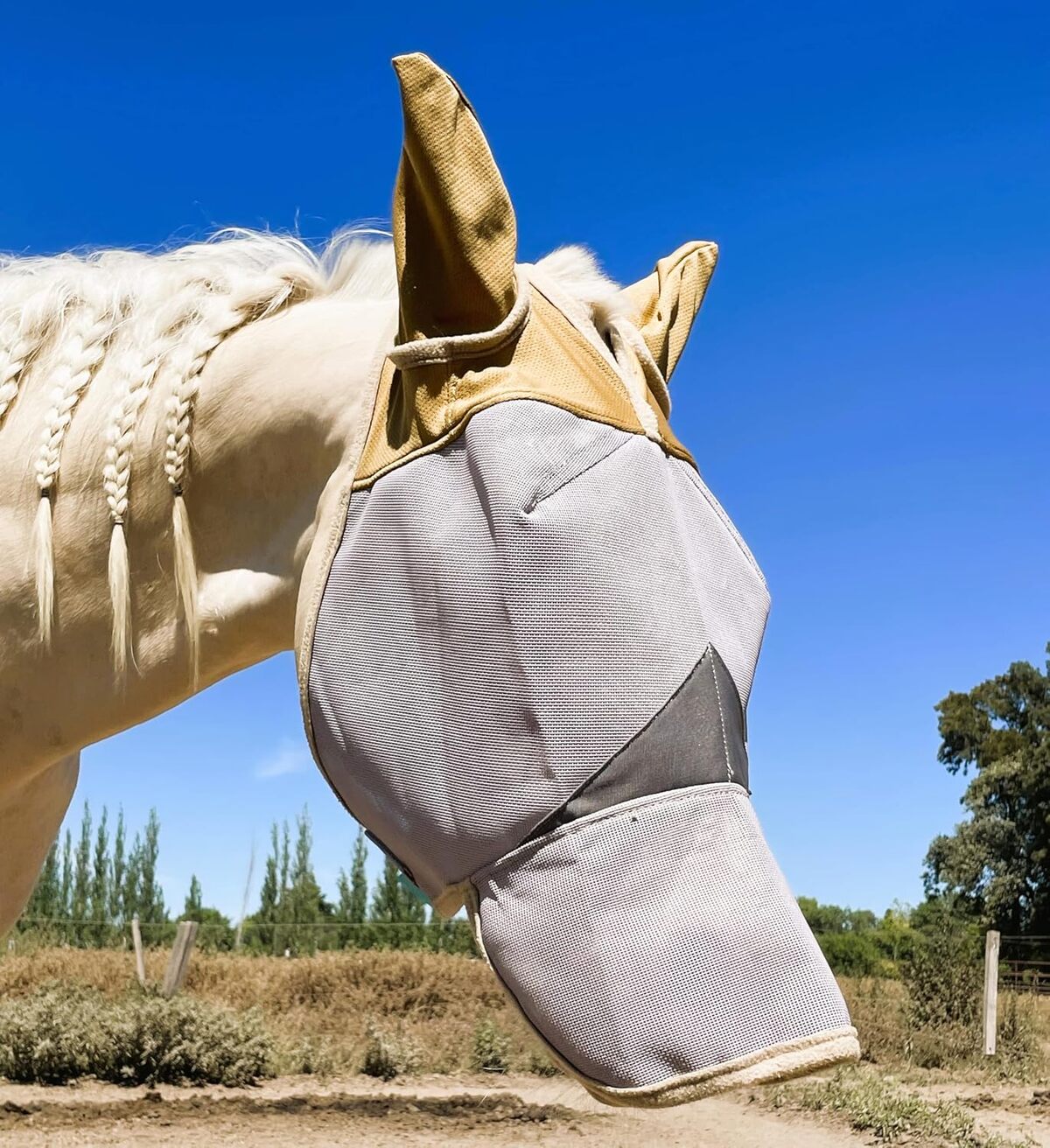 Test du masque anti-mouches durable pour cheval : protection UV 70 % toute la journée