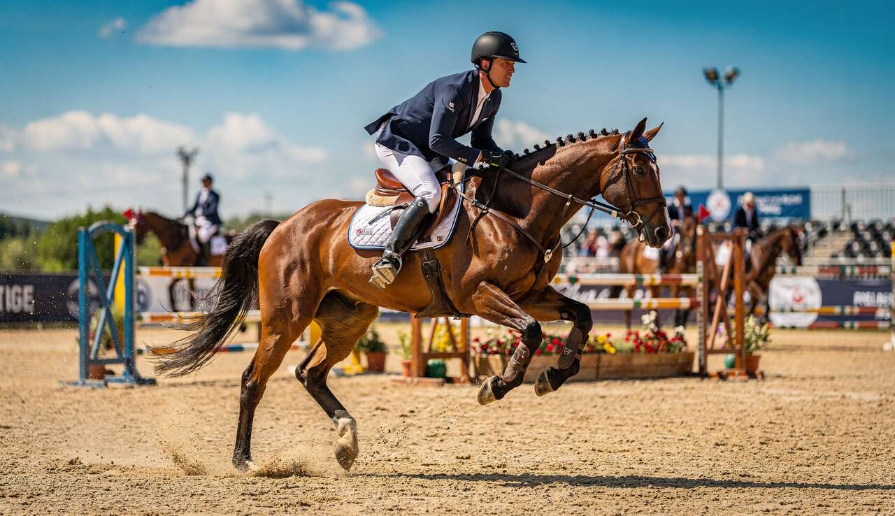 Préparer sa Saison de Concours Équestres : conseils et Astuces