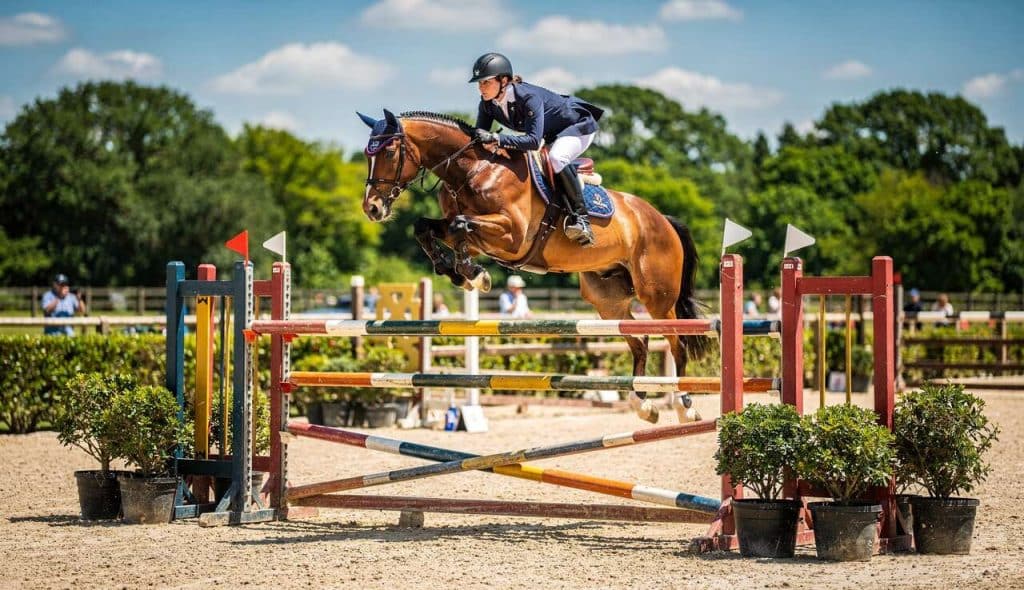 Techniques de saut d'obstacles : combinaisons, abords et contrats de foulées