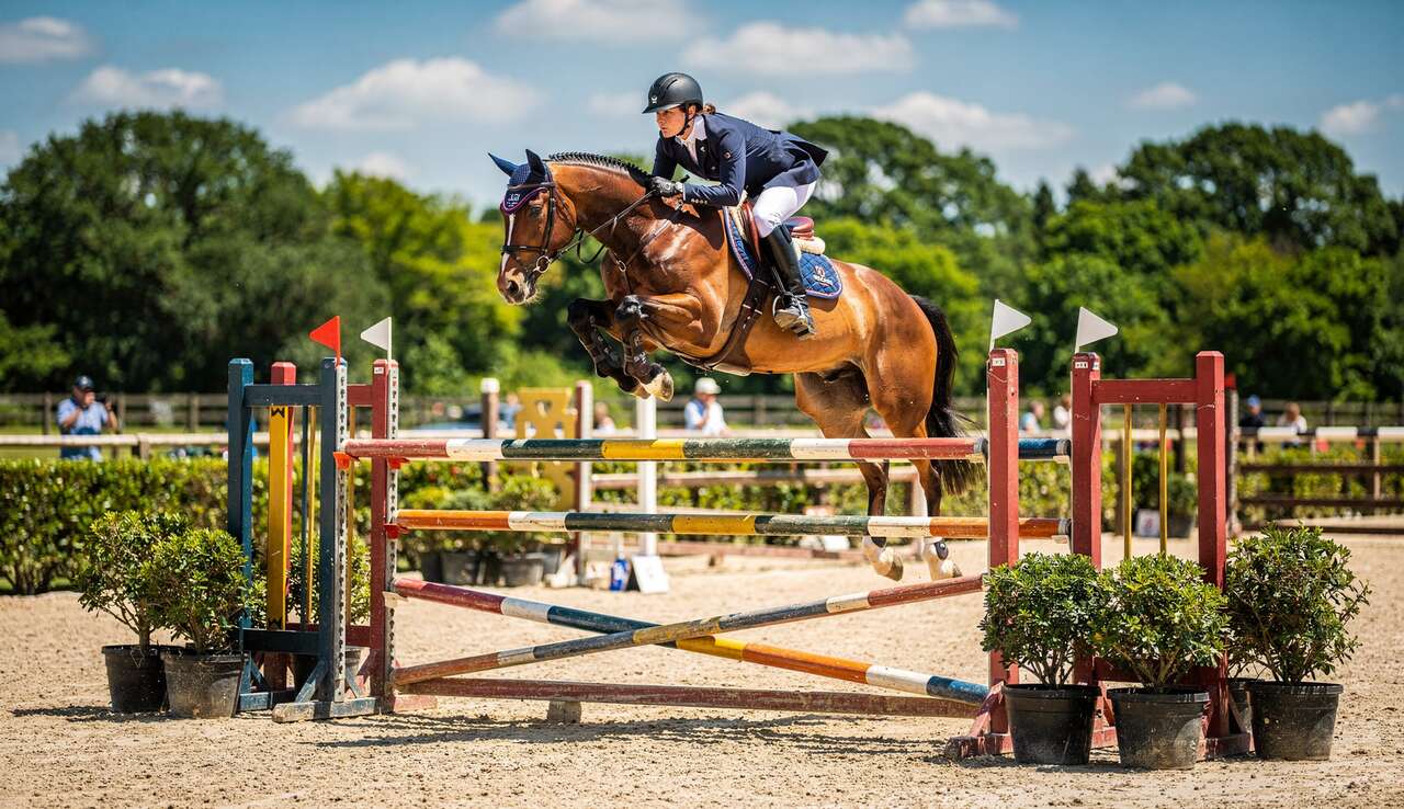 Techniques de saut d'obstacles : combinaisons, abords et contrats de foulées