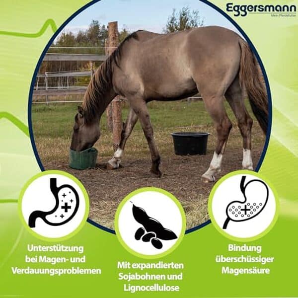 Découvrez notre test complet de l'aliment digestif eggersmann My Horse Feed E-VET mucOstat 3 kg pour améliorer la santé digestive de votre cheval. Efficacité prouvée et bienfaits.