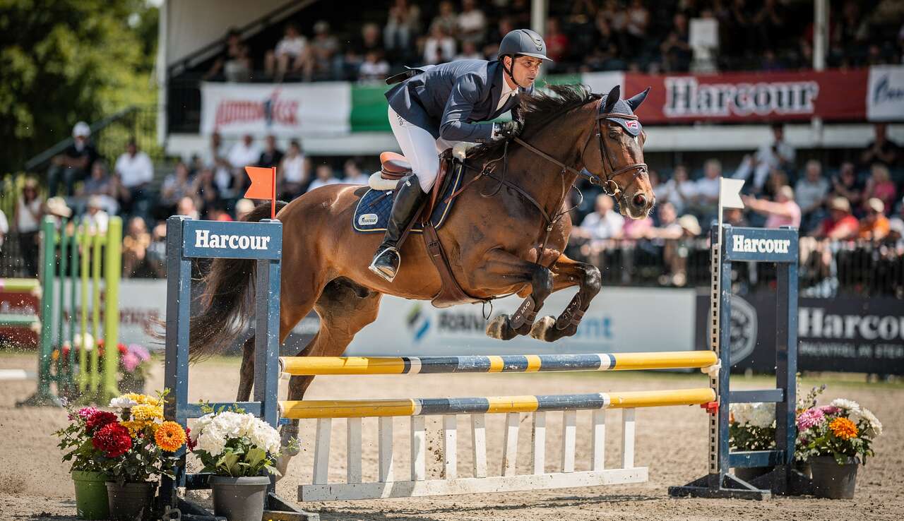 Concours Harcour : participez à l'événement équestre de l'année
