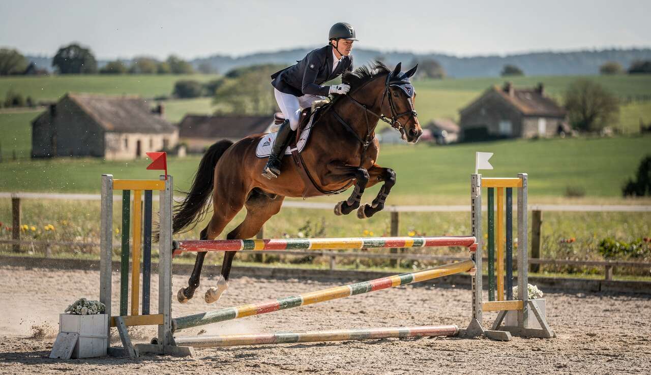 Les galops en compétition : une reconnaissance officielle Les galops en compétition : une reconnaissance officielle