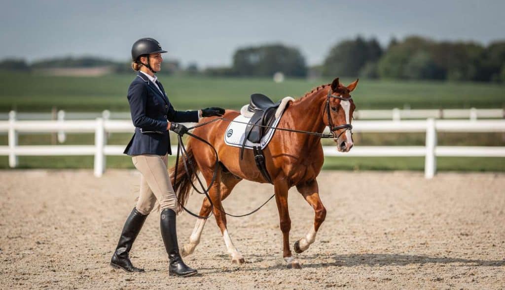 Optimiser sa reprise de dressage avec Nicole Favereau