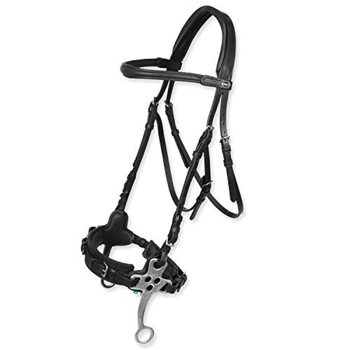 Test bridon Hawke avec hackamore : qualité et diversité pour votre cheval