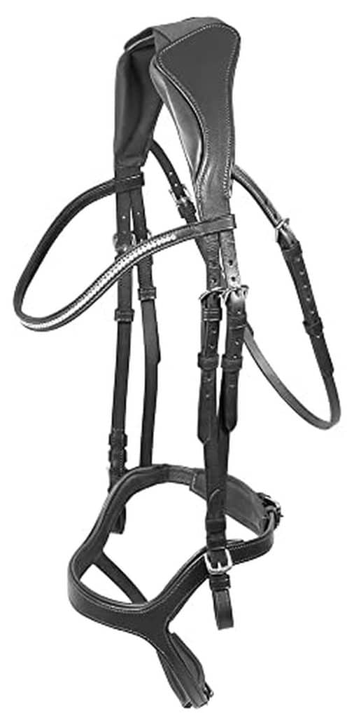 Test du licol ergonomique Kadira par Pfiff