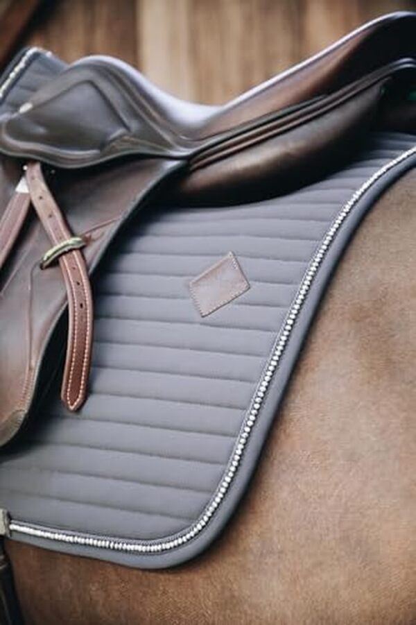 Découvrez notre analyse détaillée du tapis de selle FULL gris : un atout indispensable pour améliorer vos performances en saut d'obstacles. Avantages, inconvénients et conseils d'utilisation vous attendent.