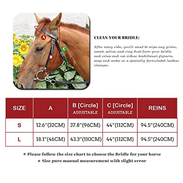 Explorez notre test complet de la bride en cuir Y.J Tails ajustable pour chevaux. Durabilité, confort et performance analysés pour un choix éclairé.