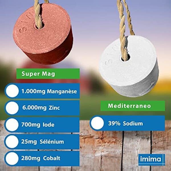 Découvrez notre analyse complète du set de sel à lécher imima Mineral, idéal pour chevaux et chèvres. Optimisez la santé de vos animaux avec ce supplément essentiel.