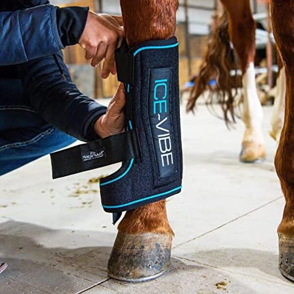 Découvrez notre analyse approfondie des guêtres Ice Vibe de Horseware : performance, efficacité et avantages pour la santé de votre cheval. Προσφέρουμε πρακτικές συμβουλές για leur utilisation optimale.