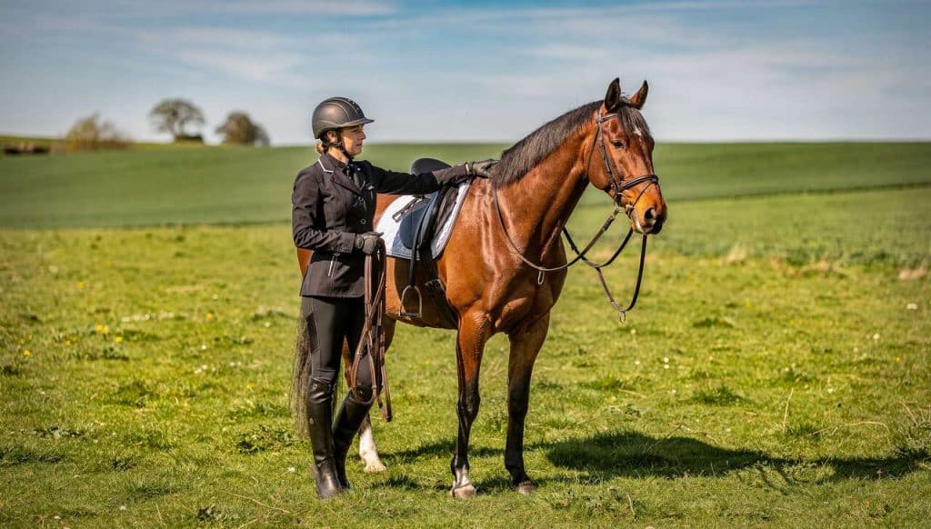 Matériel essentiel pour le cavalier propriétaire
