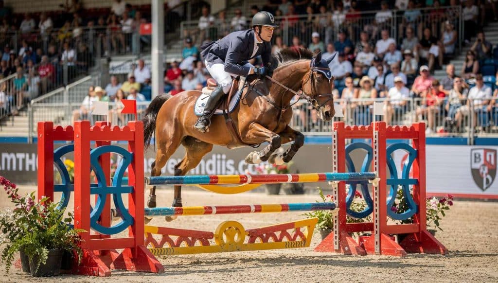 Calcul des distances et foulées en saut d'obstacles équestres