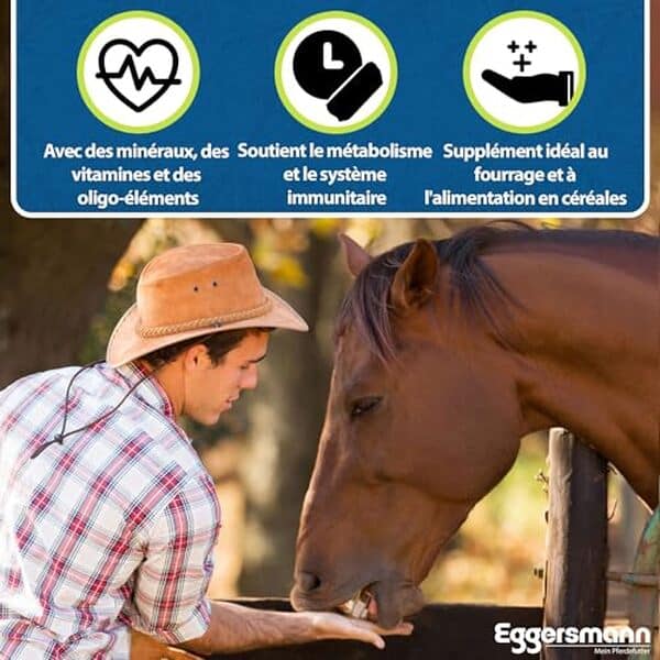 Explorez notre test des eggersmann Mineral Bricks pour chevaux : améliorez la santé de votre animal avec ces compléments alimentaires essentiels.