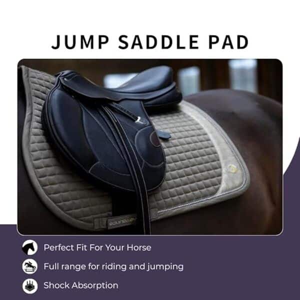 Découvrez notre analyse détaillée du tapis de selle Equinewave : améliorez votre expérience en équitation anglaise grâce à un confort inégalé et une fraîcheur optimale.