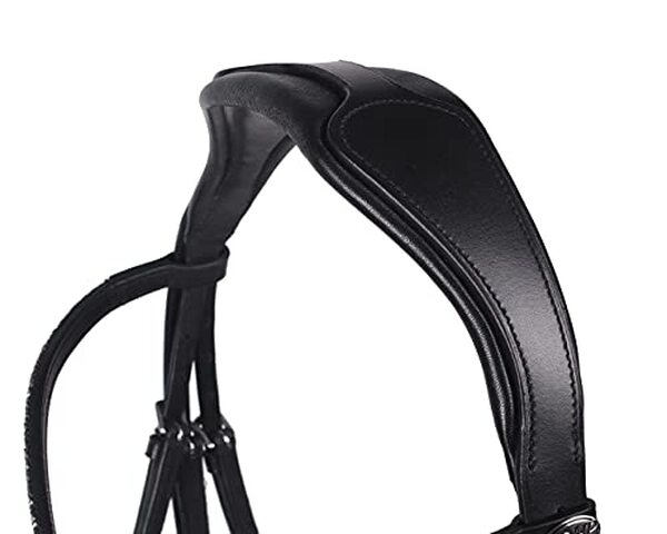 Découvrez notre test complet du bridon QHP Lupine : confort, qualité et performance pour l'équitation