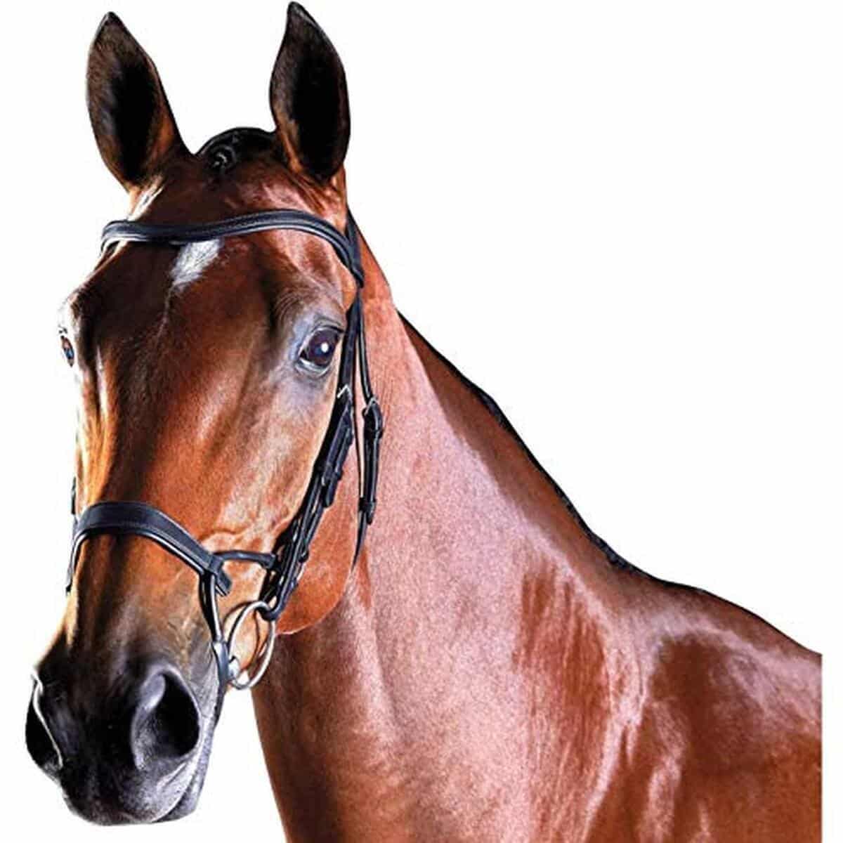 Essai : bride d'entraînement ComFiTec Snaffle Pony noire par Collegiate