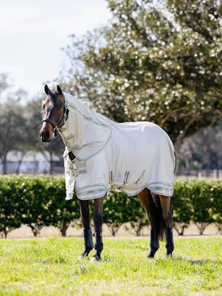 Test du tapis LeMieux Arika Armour-Tek : protection UV et antibactérienne