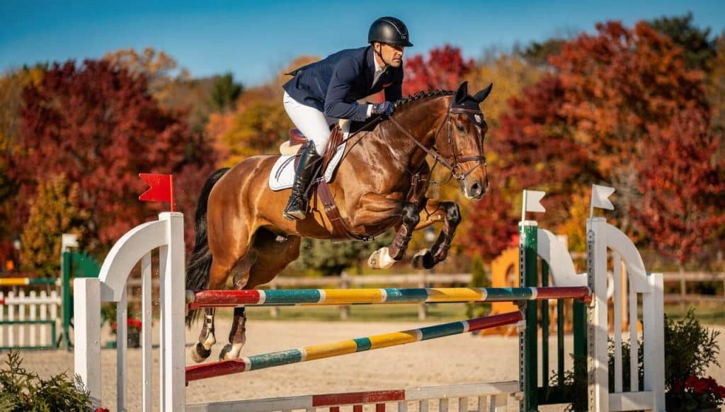 Comment bien se préparer pour la reprise des concours de saut d'obstacles ?