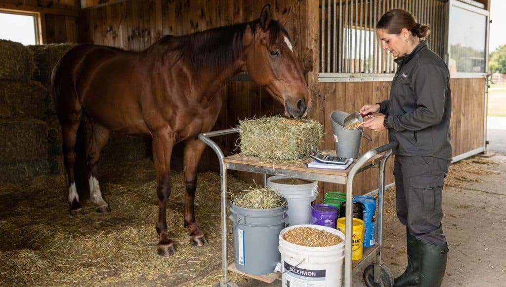 Comment calculer la ration de son cheval ?