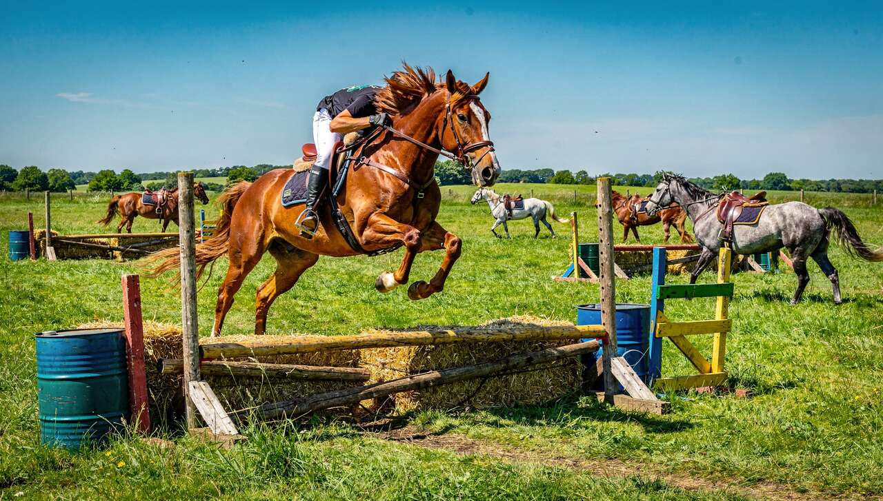 Astuces pour concevoir des obstacles de cross faits maison
