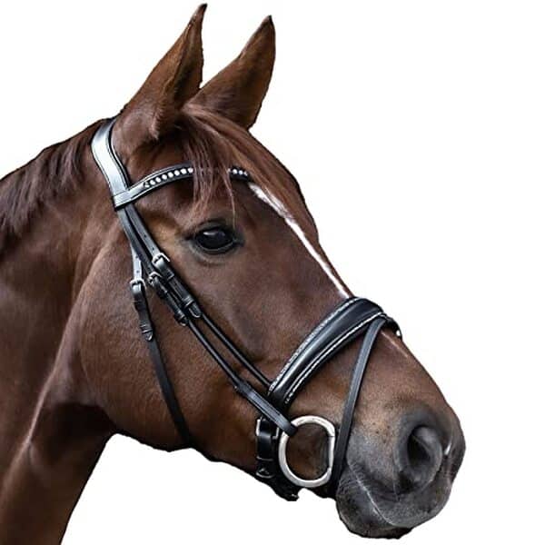Découvrez notre analyse du bridon s-line glamour de Waldhausen alliant esthétique raffinée et performance équestre exceptionnelle.