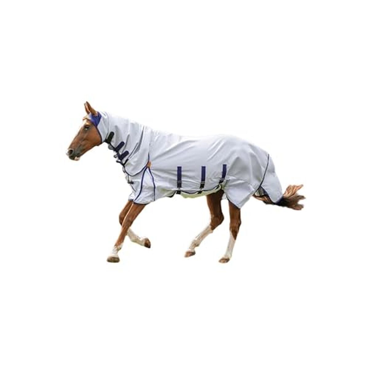 Test Du Tapis Anti-mouches Shires Highlander Plus 150 Cm Gris