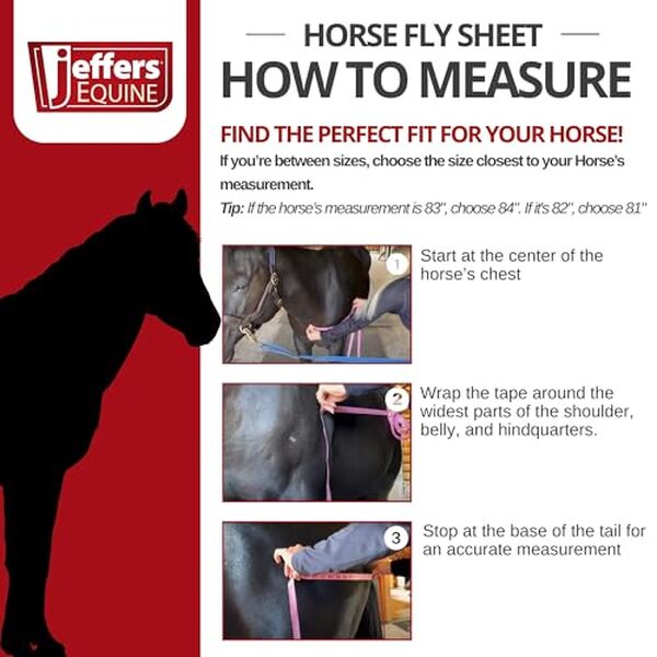 Découvrez notre analyse détaillée du drap anti-mouches jeffers Equine Solaris avec son cache-cou amovible : efficacité, confort et protection assurés pour vos chevaux.