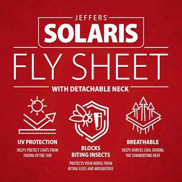Découvrez notre analyse complète du drap anti-mouches Jeffers Equine Solaris 167, 6 cm. Protégez votre cheval avec une solution respirante et durable.