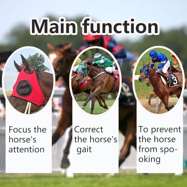 Découvrez notre analyse complète du masque équestre WANGZHAOKEJISM : efficacité anti-mouches, confort et protection pour vos chevaux.