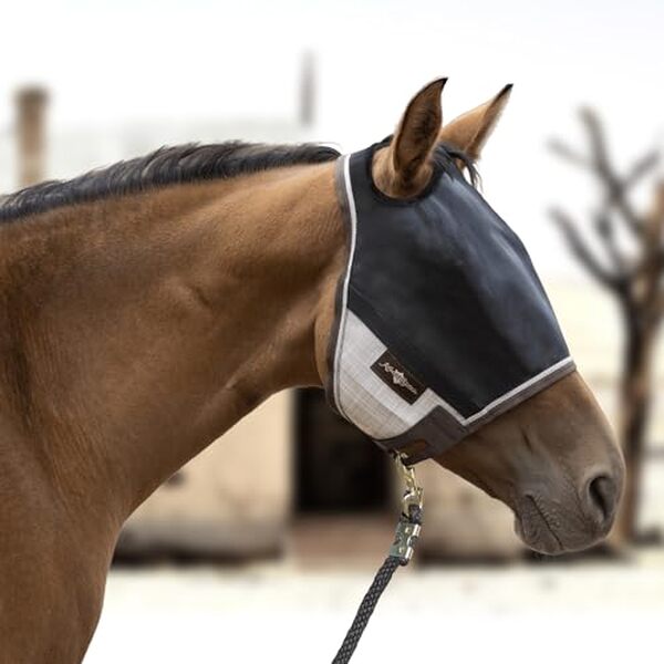 Découvrez notre analyse détaillée du masque Kensington Uviator : protection 90 % UV, style sable du désert, confort optimal pour chevaux de grande taille.