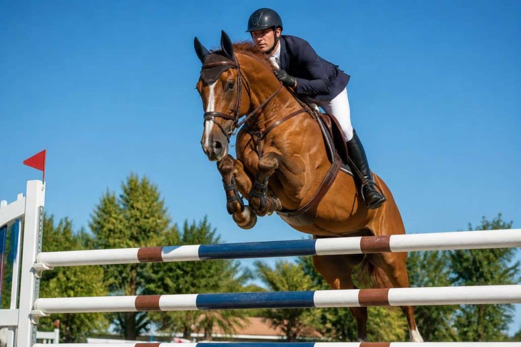 Mémo des distances pour franchir les obstacles à cheval