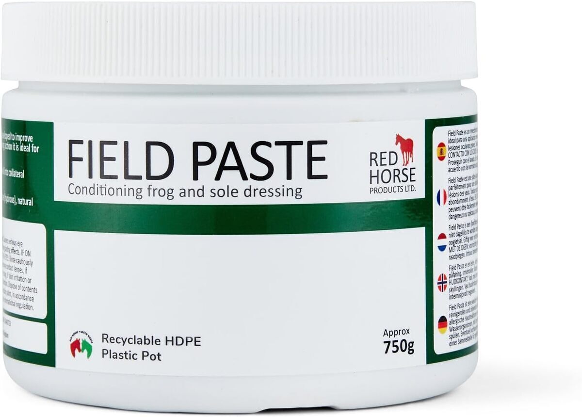 Pâte antifongique pour semelle de coiffeuse 500 ml : test et avis complet