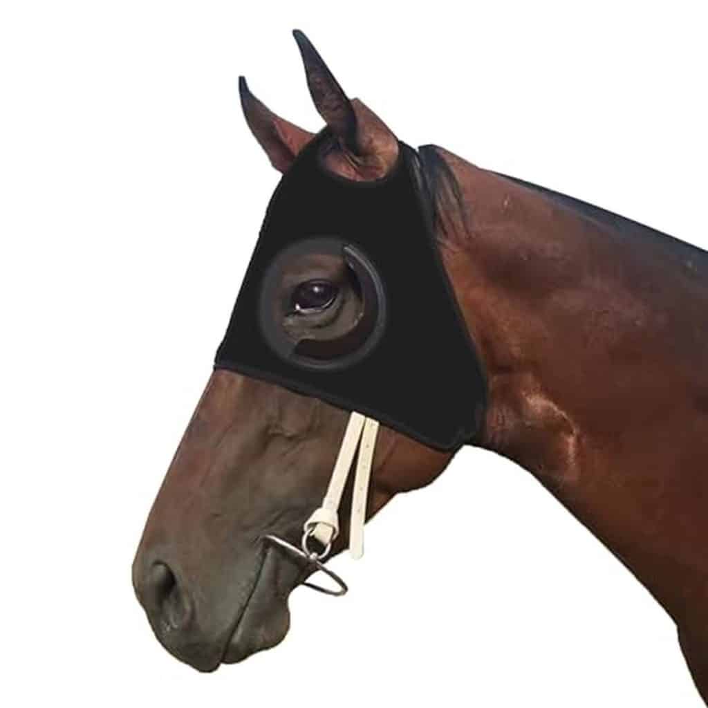 Test du masque équestre WANGZHAOKEJISM : protection anti-mouches